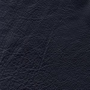 Swatch Image